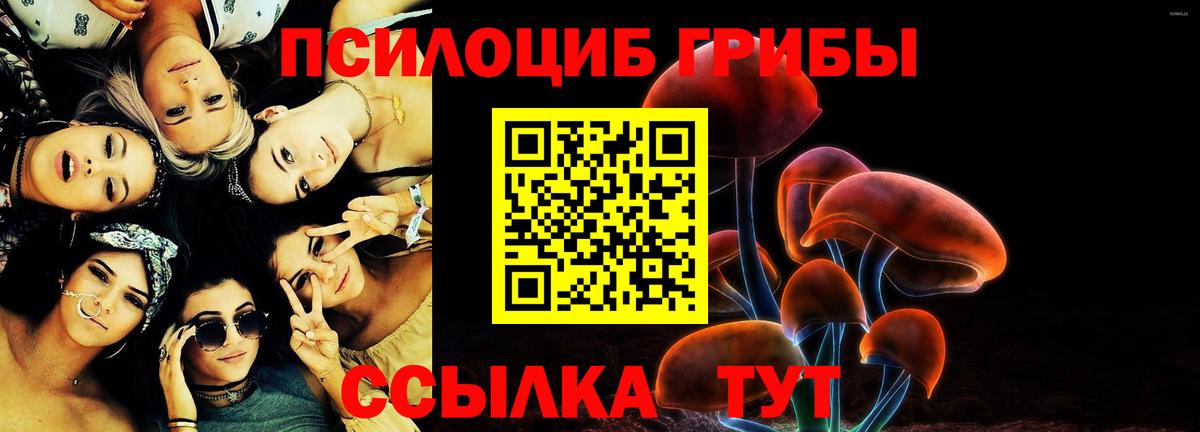Соликамск  где купить   Вход с VPN  Галлюциногенные грибы GOLDEN TEACHER 